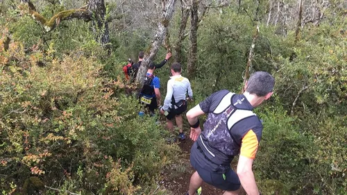 Le trail de la Pérouse, c’est ce dimanche à Plombières 
